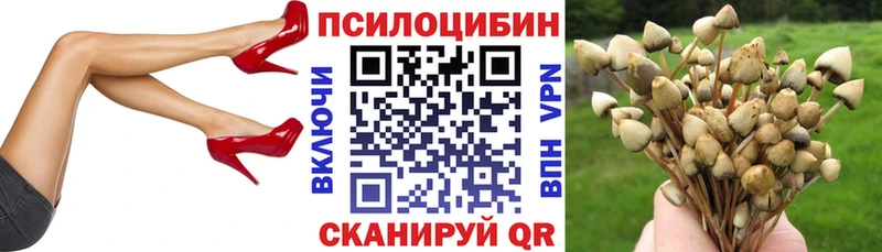 Галлюциногенные грибы Psilocybe  хочу наркоту  Конаково 