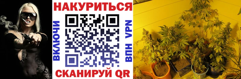 где можно купить наркотик  мега рабочий сайт  Каннабис планчик  Конаково 